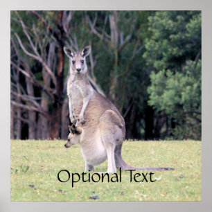 Mother Kangaroo with Baby Joey in Her Pouch Poster