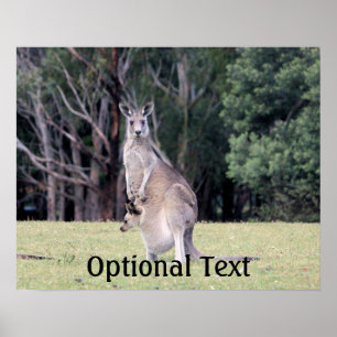 Mother Kangaroo with Baby Joey in Her Pouch Poster