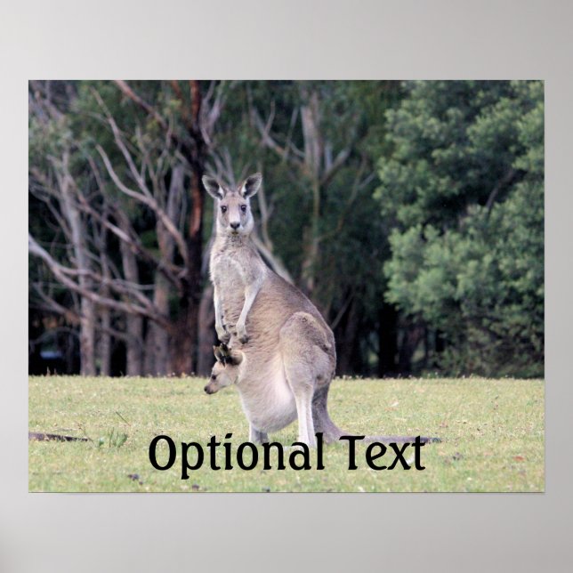 Mother Kangaroo with Baby Joey in Her Pouch Poster (Front)