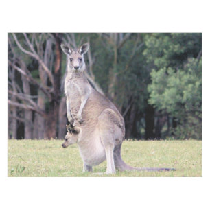Mother Kangaroo with Baby Joey in Her Pouch Tablecloth