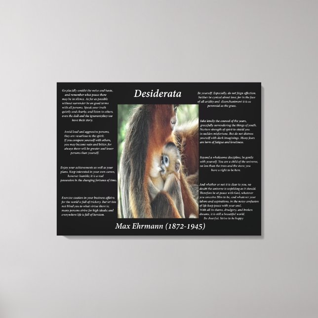 Mother Love Canvas Print (Front)