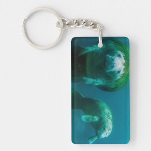 Mother manatee with her calf in Crystal River Keychain