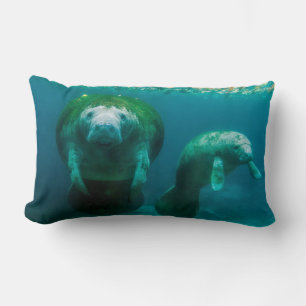 Mother manatee with her calf in Crystal River Lumbar Pillow