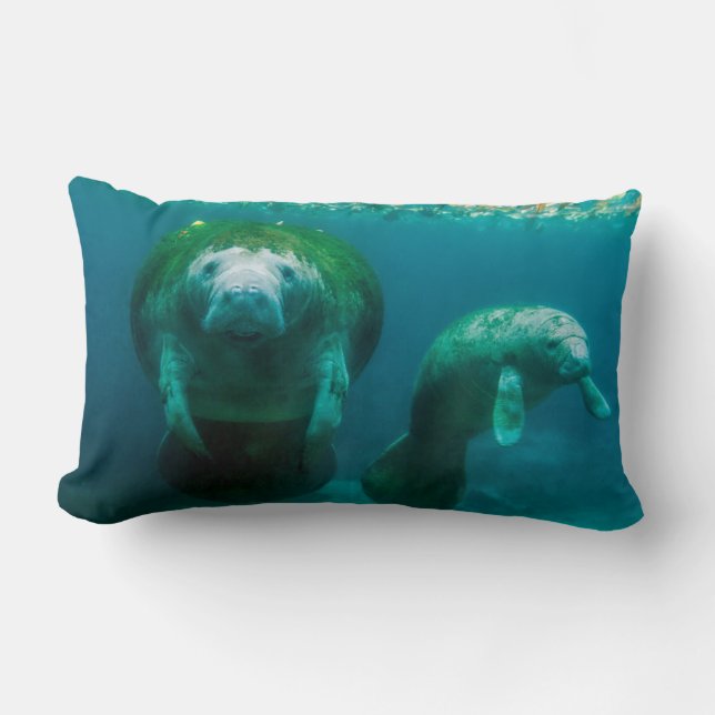 Mother manatee with her calf in Crystal River Lumbar Pillow (Front)