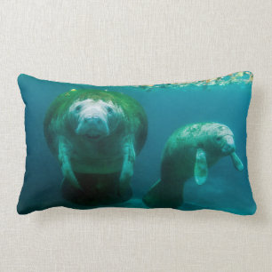Mother manatee with her calf in Crystal River Lumbar Pillow