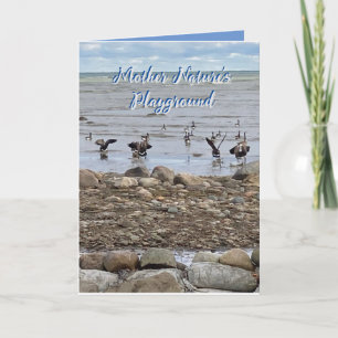 "Mother Nature's Playground" encouragement card