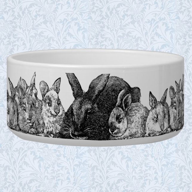 mother rabbits and babies (Creator Uploaded)