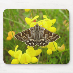 Mother Shipton Moth Mouse Mat