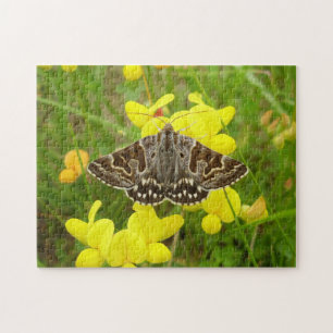 Mother Shipton Moth Photo Puzzle with Gift Box