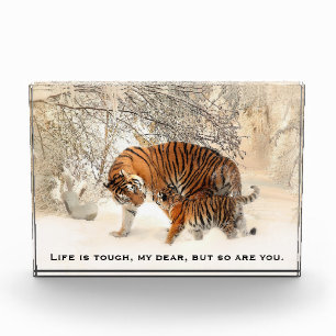 Mother Tiger and Cub Inspiring Quote Photo Block