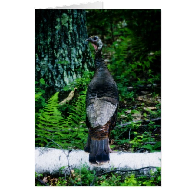 Mother Turkey Card (Front)