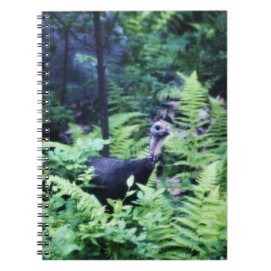 Mother Turkey in Ferns Notebook