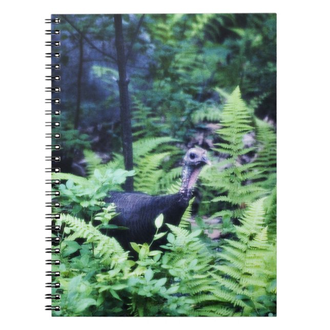 Mother Turkey in Ferns Notebook (Front)