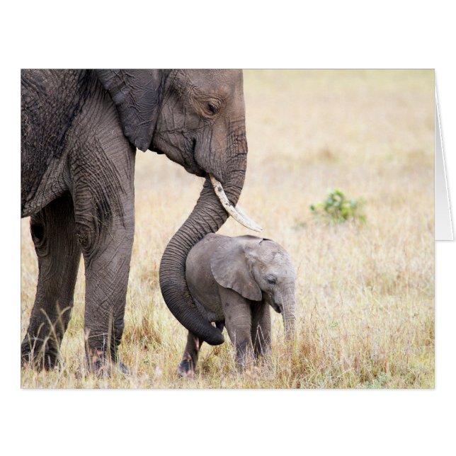 Motherly love (Front Horizontal)