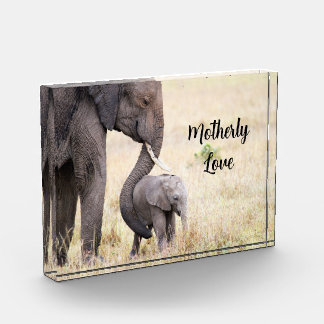 Motherly love elephant baby personalized photo block