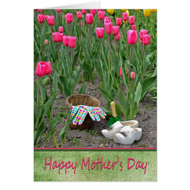 Mother's Bloomers (Front)