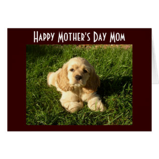 ***MOTHER'S DAY*** ADVICE & THANK YOU FOR MOM