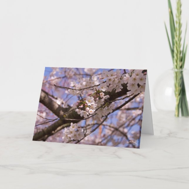 Mother's Day Blossoms Card (Front)