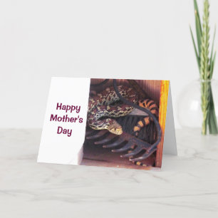 Mother's Day - Bull Snake Card