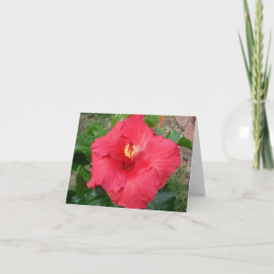 Mother's Day Card