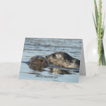 Mother's Day card featuring Harbour seals