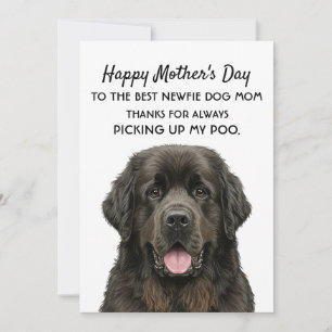 Mother's Day Card for Dog Newfie Mom
