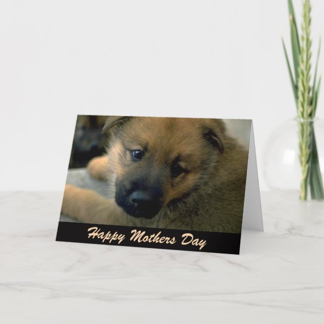 Mothers Day Card from Dog, Cuddle (Front)