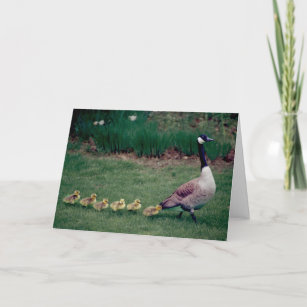 Mother's Day card goose with 6 goslings