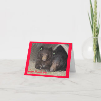 Mother's Day card - mom & cub