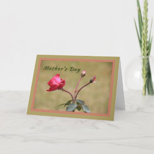 Mother's Day Card with Red Rose and Buds