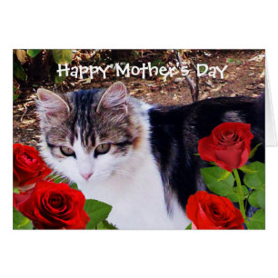 MOTHER'S DAY CAT WITH RED ROSES