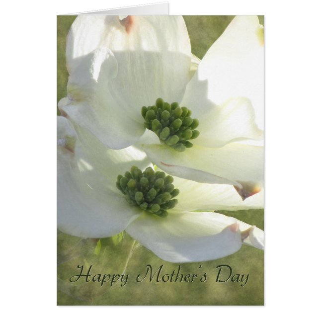 Mother's Day Dogwood (Front)