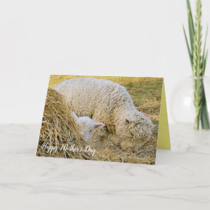Mother's Day, farm scene, baby with mother, lamb, Card
