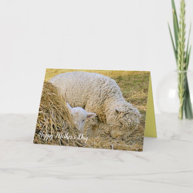 Mother's Day, farm scene, baby with mother, lamb, Card (Front)