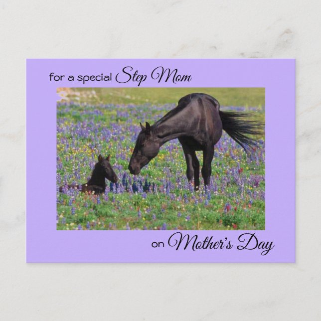 Mother's Day for Step Mom Mare & Foal Photo Postcard (Front)