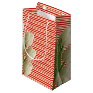 Mother's Day Gift Bag