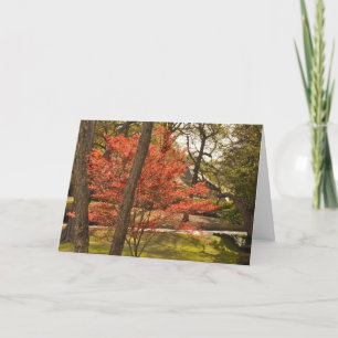 Mother's Day Greeting Card