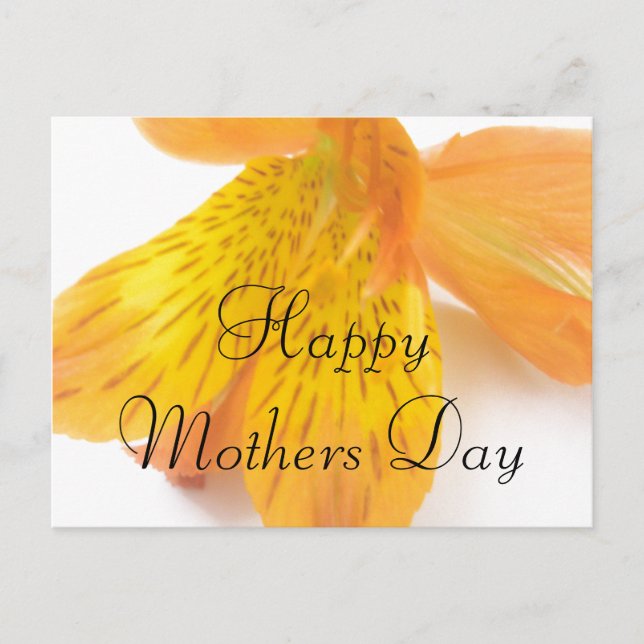 Mothers Day greeting Postcard (Front)
