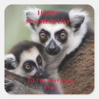 Mothers Day Mommy And Baby Lemur,  
