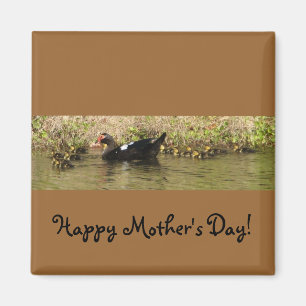 Mother's Day Muscovy Duck Magnet