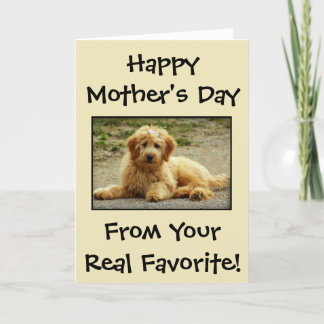 Mother's Day Personalized From The Dog Photo Card