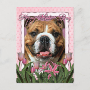 Mothers Day - Pink Tulips - Bulldog Postcard