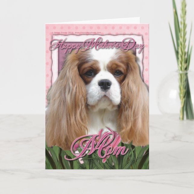Mothers Day - Pink Tulips - Cavalier - Blenheim Card (Front)