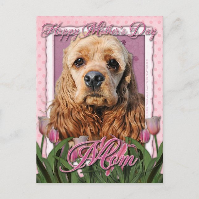 Mothers Day - Pink Tulips - Cocker Spaniel Postcard (Front)