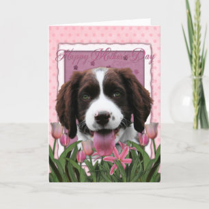 Mothers Day - Pink Tulips English Springer Spaniel Card