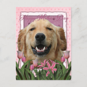 Mothers Day - Pink Tulips - Golden Retriever Postcard