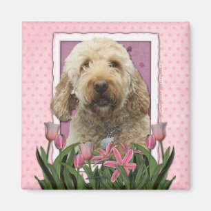 Mothers Day - Pink Tulips - Goldendoodle Magnet