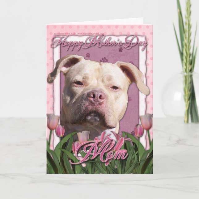 Mothers Day - Pink Tulips - Pitbull - Jersey Girl Card (Front)