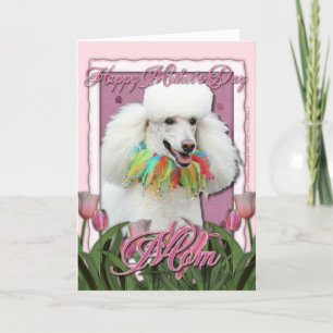 Mothers Day - Pink Tulips - Poodle - White Card