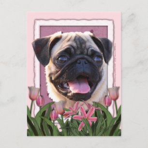 Mothers Day - Pink Tulips - Pug Postcard